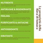 Latte Detergente Antietà Bava di Lumaca 250 ml antiossidante Lady Venezia